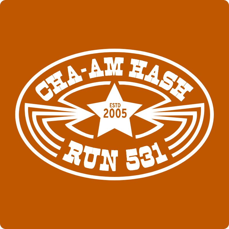 Run 531: Texas Independence Day Run